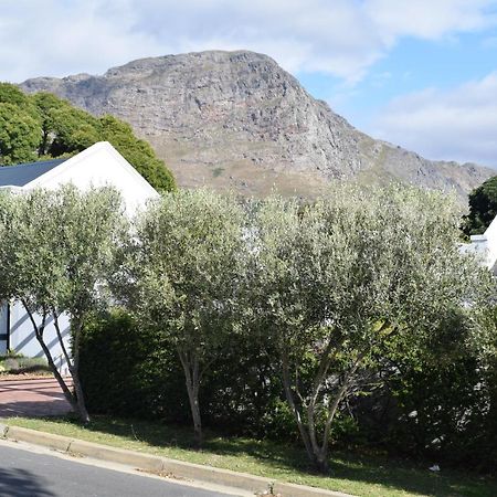 Protea Studio Franschhoek Central Buitenkant foto
