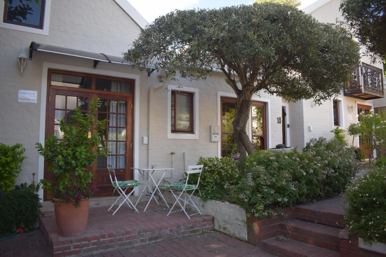 Protea Studio Franschhoek Central Buitenkant foto