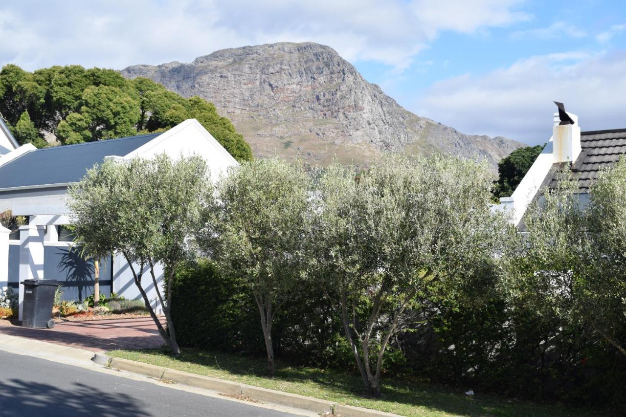 Protea Studio Franschhoek Central Buitenkant foto